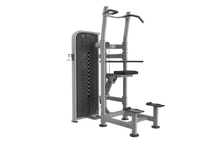 Hỗ trợ máy tập thể dục thương mại Dip Chin